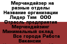 Мерчандайзер на разные отделы › Название организации ­ Лидер Тим, ООО › Отрасль предприятия ­ Мерчендайзинг › Минимальный оклад ­ 25 000 - Все города Работа » Вакансии   . Кемеровская обл.,Юрга г.